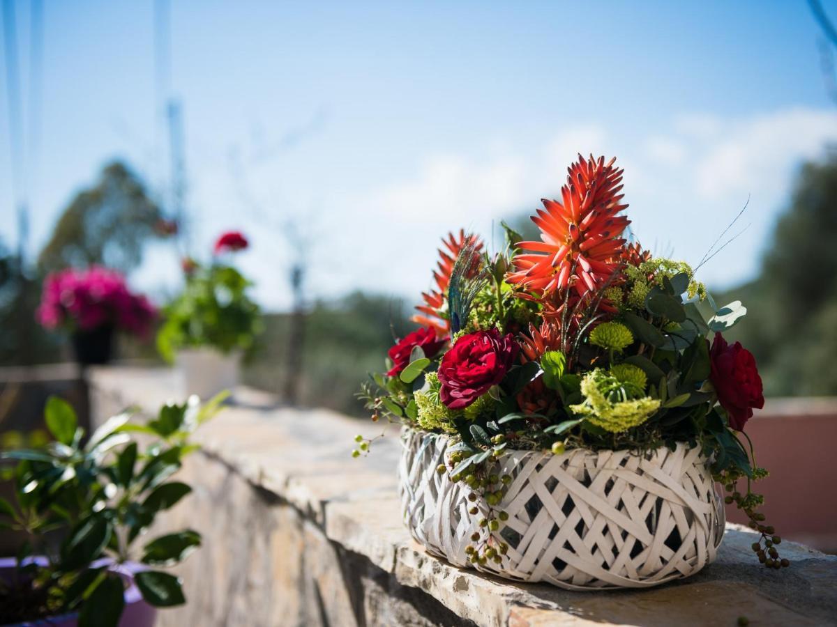 Sofias Cottage Razata Argostoli エクステリア 写真